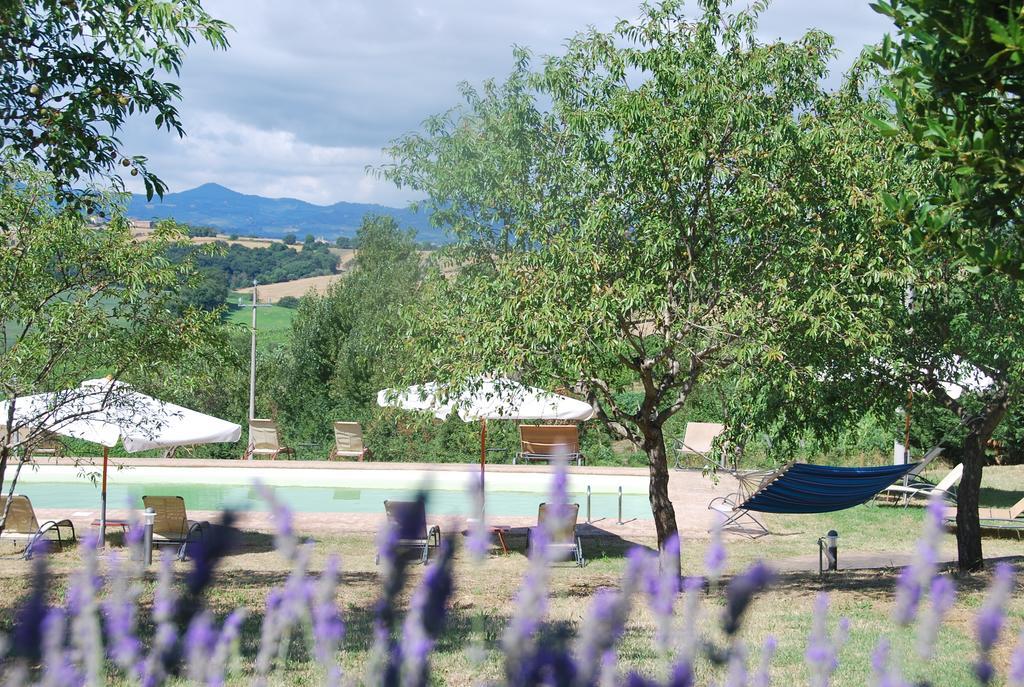 Agriturismo Le Torri Di Porsenna Petrignano Del Lago Ngoại thất bức ảnh